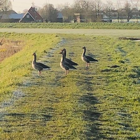 Ingeborgh Art Gastenverblijf Grootschermer Exterior foto
